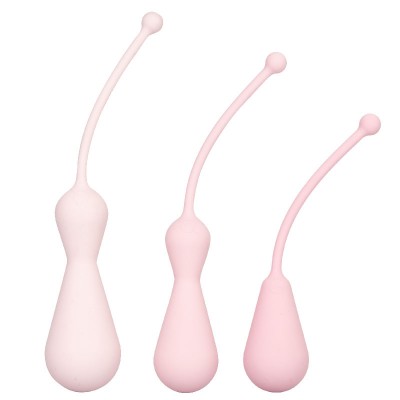 Inspire Weighted Silicone Kegel Training Kit